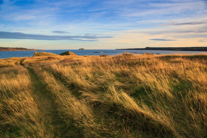 Foto aus Newfoundland / Labrador: Küste