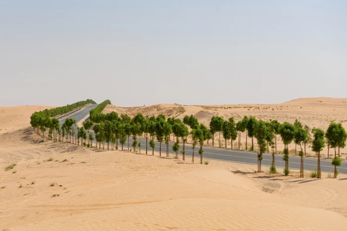 Foto aus Vereinigte Arabische Emirate: Vereinigte Arabische Emirate Reisen