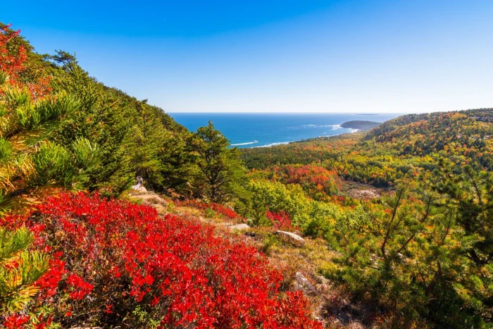 Foto aus Neuengland: Acadia