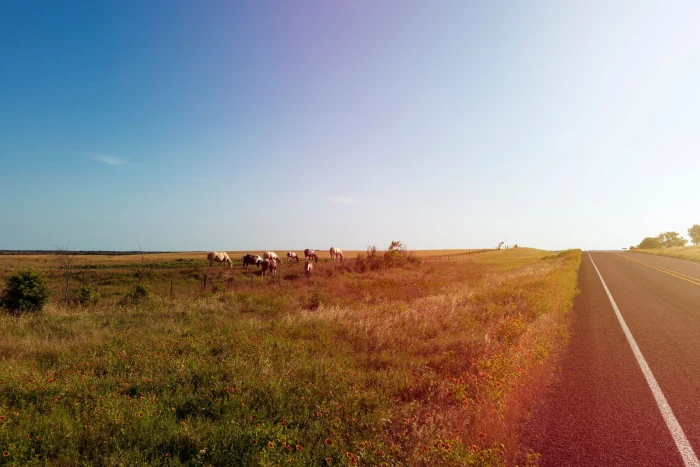 Foto aus Texas: Landschaft