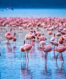 Urlaubsregion Kenia