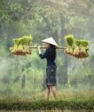 Vietnam Reisen