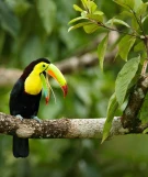 Costa Rica Reisen