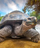 Ecuador Reisen