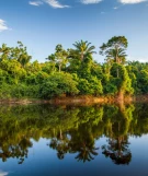 Urlaubsregion Suriname