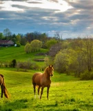 Kentucky
