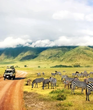 Safari in Tansania