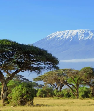 Reisebild - Tansania Reise - Kilimanjaro