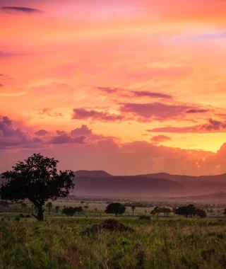 Reisebild - Sonnenuntergang Afrika