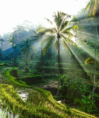 Reisebild - Indonesien Reise: Privatreise - Magisches Bali - Tempel, Vulkane & Traumstrände
