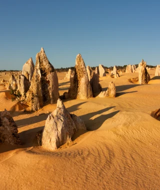 Reisebild - Australien Reise - Nambung Nationalpark/Pinnacles