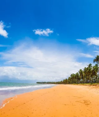 Reisebild - Brasilien Reise: Strand