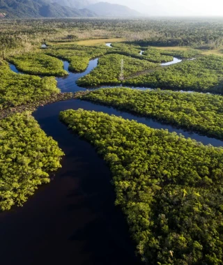 Reisebild - Peru, Bolivien & Brasilen Reise: Kleingruppenreise - Dschungelexpedition Mythos Amazonas