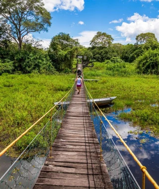 Reisebild - Brasilien Reise: Pantanal