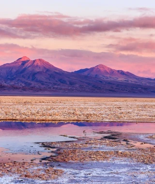 Reisebild - Chile Reise: Salar de Atacama