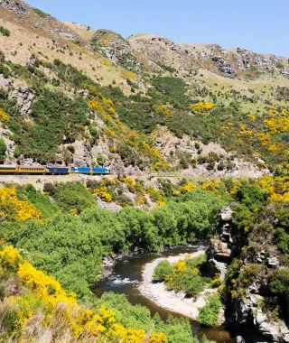 Reisebild - Neuseeland Reise - Taieri Gorge Railway