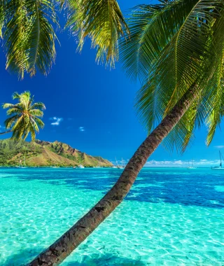 Reisebild - Südsee Reise - Moorea