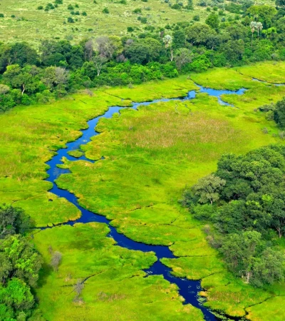 Okavango Delta Foto 3 Okavango Delta