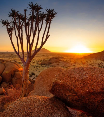 Namibia Rundreise Wüste Foto 4 Namibia Rundreise Wüste