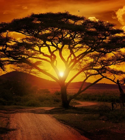 Südafrika Sonnenuntergang Foto 4 Südafrika Sonnenuntergang