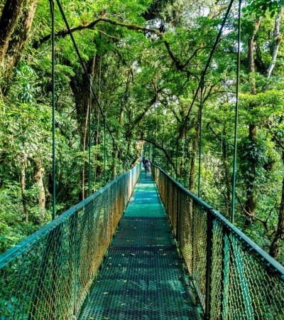 Costa Rica Reise: Hängebrücken Foto 1 Costa Rica Reise: Hängebrücken