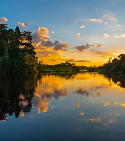 Foto 4 Venezuela Reise: Amazonas
