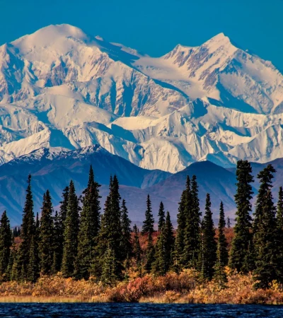 Alaska reise: Denali NP Foto 4 Alaska reise: Denali NP