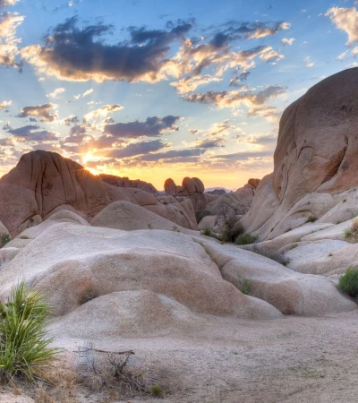 USA Reise Westen: Joshua Tree Foto 1 USA Reise Westen: Joshua Tree