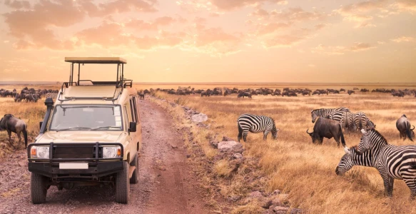 Reisebild - Afrika Reise Safari