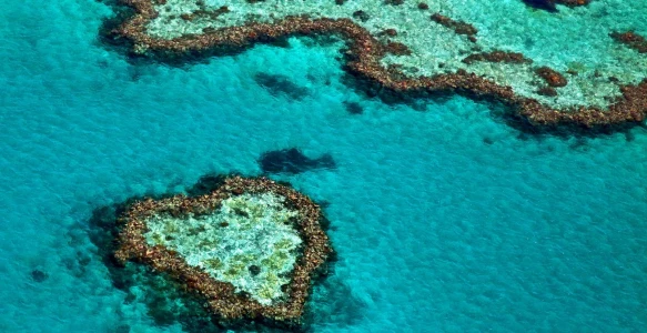Australien Reise - Great Barrier Reef Reisebild - Australien Reise - Great Barrier Reef