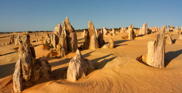 Australien Reise - Nambung Nationalpark/Pinnacles Reisebild - Australien Reise - Nambung Nationalpark/Pinnacles
