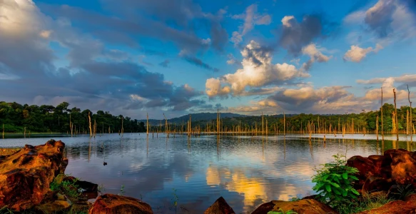 Reisebild - Guyana-Surinam-Reise