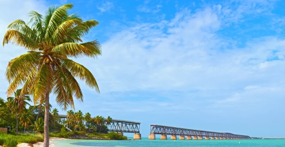 Reisebild - Florida  Reise 