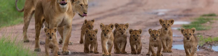 Sambia Foto aus Sambia: