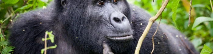 Ruanda Foto aus Ruanda: