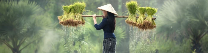Foto aus Vietnam: Vietnam