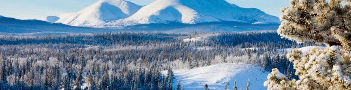 Foto aus North West Territories : 