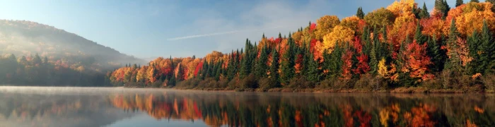 Foto aus quer durch: Kanada Wildnis