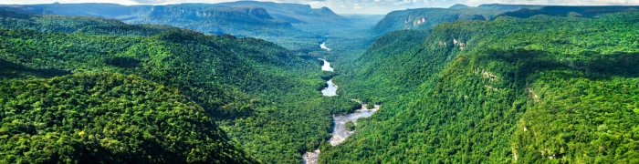 Foto aus Guyana: 