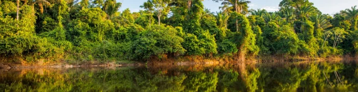 Suriname Foto aus Suriname: