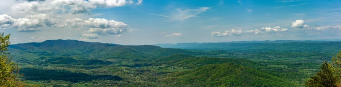 Foto aus Virginia: 