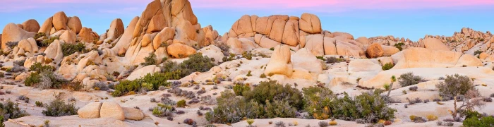Joshua Tree NP Foto aus California: Joshua Tree NP