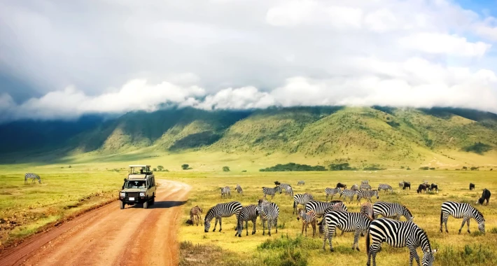Safari in Tansania