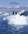 Bild des Reiseziels: Arktis & Antarktis Reisen